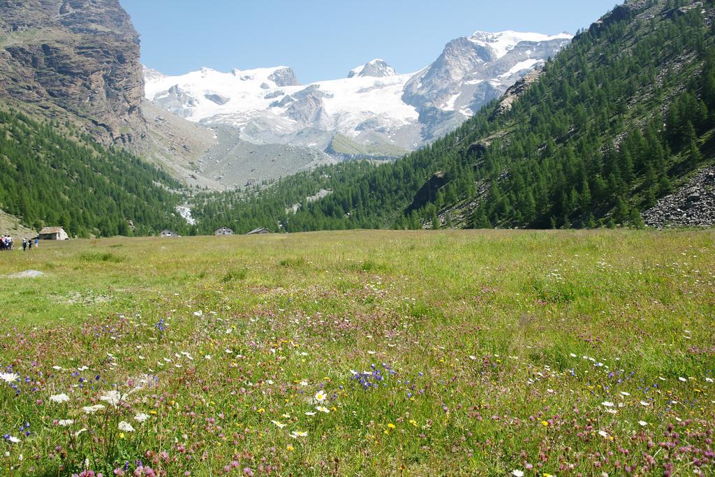 Hotel Le Petit Abri Champoluc Buitenkant foto