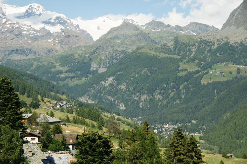 Hotel Le Petit Abri Champoluc Buitenkant foto