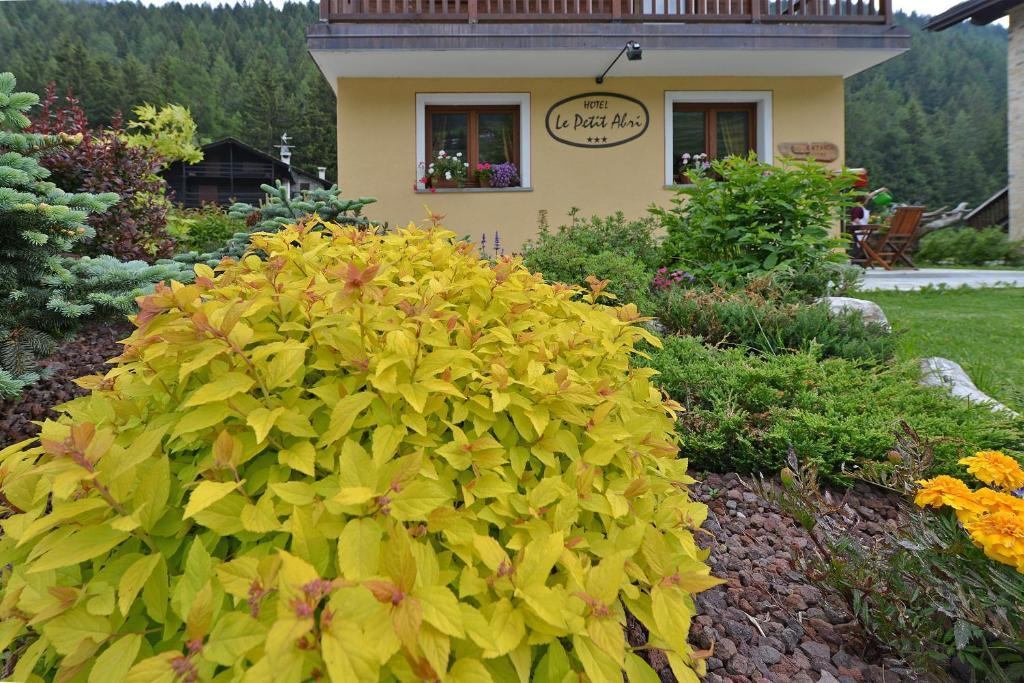 Hotel Le Petit Abri Champoluc Buitenkant foto