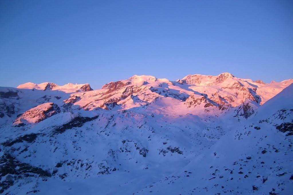 Hotel Le Petit Abri Champoluc Buitenkant foto