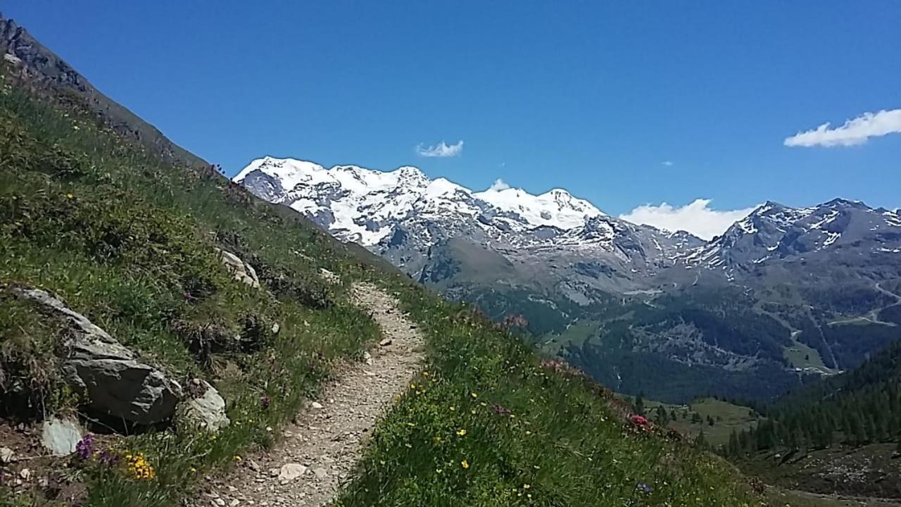 Hotel Le Petit Abri Champoluc Buitenkant foto
